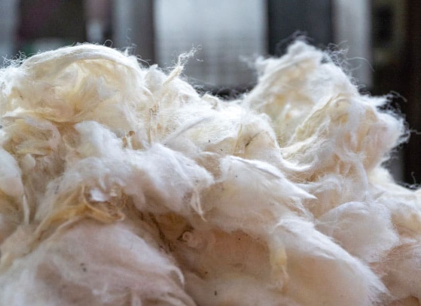 Wool-Processing-1